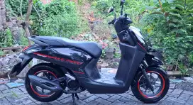 Honda Genio tahun 2024
