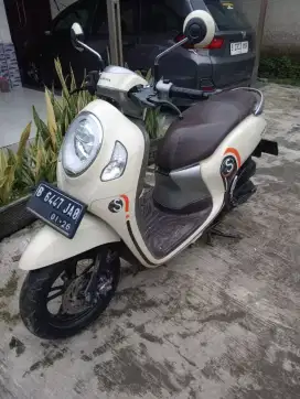 Scoopy Esp Sporty Cream Glosy
