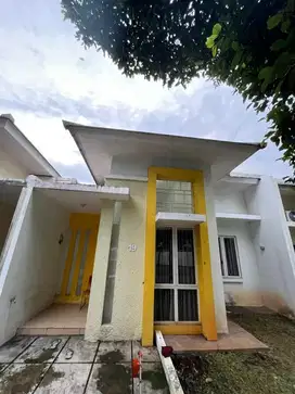 Disewakan Rumah 1 Lantai di Elysium Cluster Ivory Garden