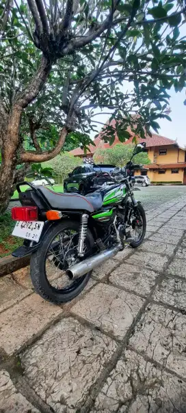 Rxs thn 1994 up king