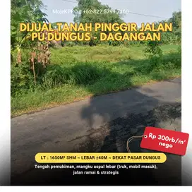 Tanah Luas di Pinggir Jalan PU Dungus - Dagangan