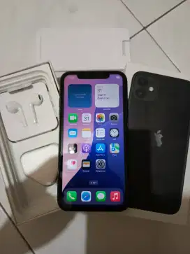 iPhone 11 64gb wifi only muluss