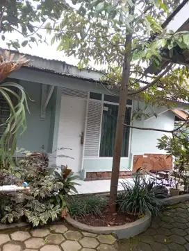 DIKONTRAKAN RUMAH TINGGAL 3 KAMAR TAHUNAN