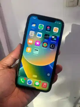 Iphone x jaringan permanen (baca deskripsi)