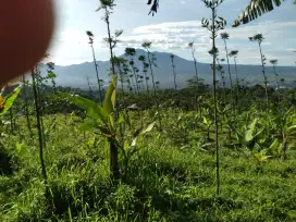 Tanah rata view lepas gunung untuk villa+wisata nempel jalan aspal