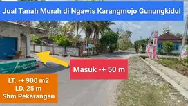 Jual tanah murah dekat jalan raya di Ngawis Karangmojo Gunung Kidul