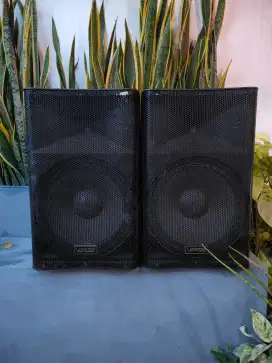 Spekaer aktif verse 15in