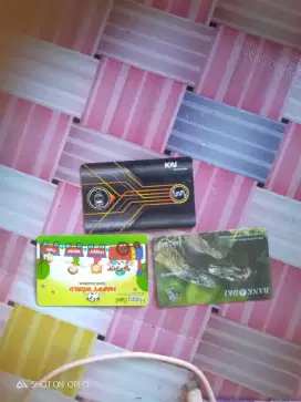 Kartu transportasi