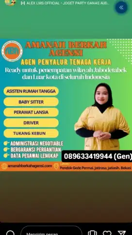 Penyalur art & babysister