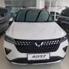 Wuling Alvez Ex