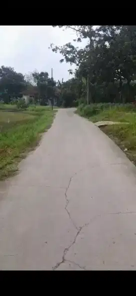 DIJUAL TANAH DARAT DAN KOLAM  GUNUNG SINDUR