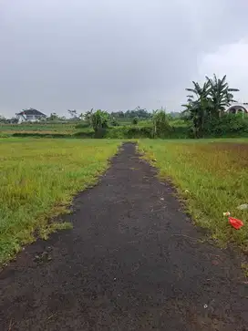 Dijual tanah kavling di Desa Sukamaju, Kecamatan Mega Mendung, Puncak