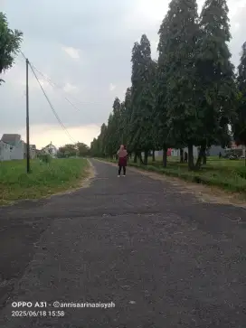 Cari pekerjaan bersih bersih