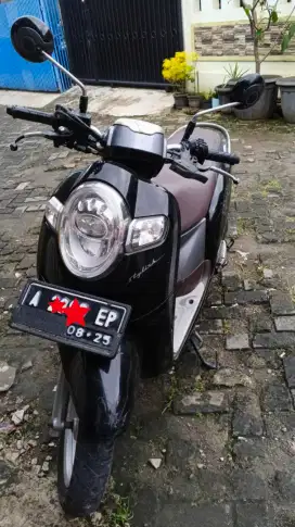 Scoopy Donut 2020