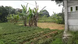 Dijual tanah di Citeko, Kecamatan Cisarua, Puncak Bogor.