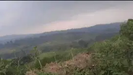 Dijual tanah darat di Desa Wangunjaya, Kecamatan Cicurug, Kab sukabumi