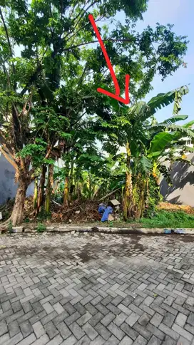 TANAH SIAP BANGUN BUMI MARINA EMAS KEPUTIH ITS SURABAYA, UNTUK KOS