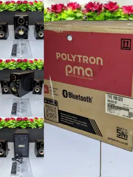 Salon Speaker POLYTRON PMA Bazzoke 2.1CH original