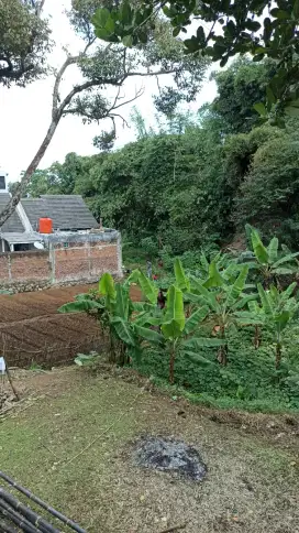 Mencari pekerjaan apa saja yg penting halal