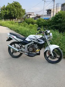 Ninnja R Albino