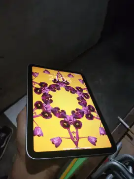 iPad mini 7 inter