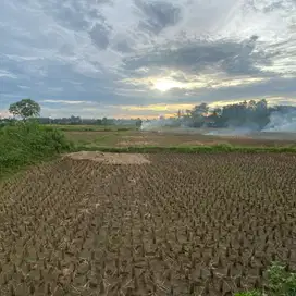 Tanah Sawah Padat Babat, Legok Tangerang Banten