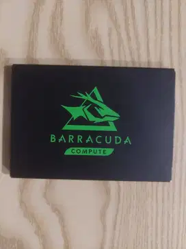 SSD SATA SEAGATE BARACUDA 2,5 256 GB SENTINEL 100/96 BUKAN NVME