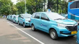 Driver supir sopir taxi bluebird