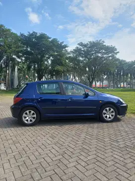 Peugeot 307 2002 Bensin