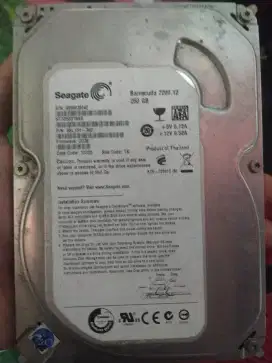Seagate Barracuda 7200. 12 500GB