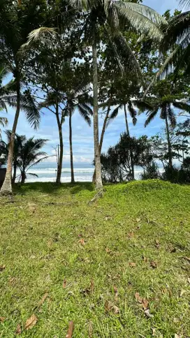 Lahan tepi pantai pekutatan