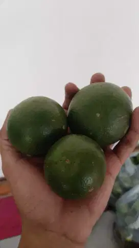 jeruk peres harga murah