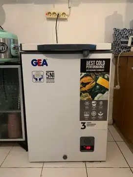 Freezer Gea 100liter