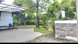 Rumah Jemursari Terawat Taman Besar