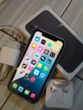 iPhone 11 wifi only