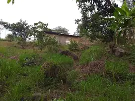 Dijual cepat tanah murah daerah jonggol
