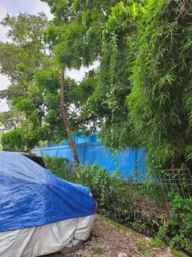 DIJUAL CEPAT  TANAH KANVLING DI CENGKARENG TIMUR