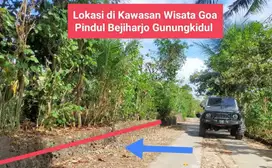 Jual Tanah murah di Karangmojo Gunung Kidul