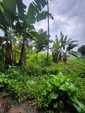 Dijual Kavling Siap Bangun di Bawen