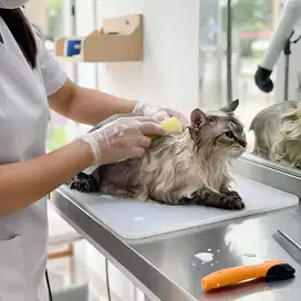 GROOMING PANGGILAN JAKARTA&TANGERAANG