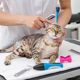 jasa mandi anjing&kucing panggilan termurah