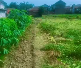 Jual Tanah Kp. Ci lomang Desa Kadudampit Kab. Sukabumi