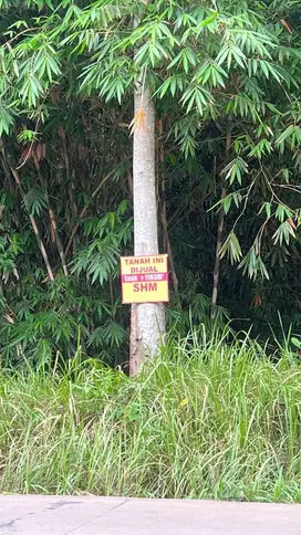 Dijual tanah Jl. akses polda banten