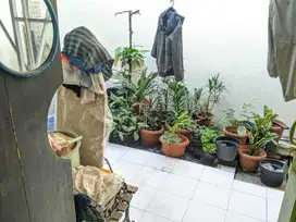 Dijual Rumah Murah dan Strategis di Komp Pemda DKI Jakarta Timur