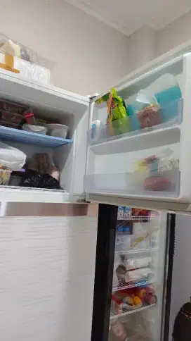 Kulkas Samsung 2 pintu