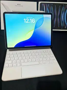 Ipad pro M2 11-inch (Gen4) 256 GB Wi-fi+cellular (xtra magic keyboard)