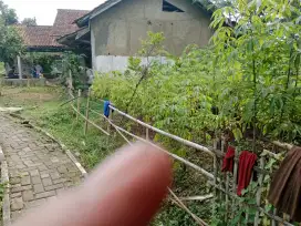 Tanah dijual murah
