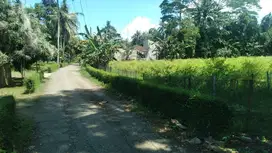 Dijual Tanah 1 hektar Sayap Jalan Daendels Ketawang Grabag Purworejo