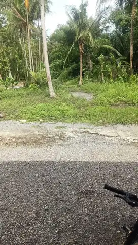 JUAL TANAH DI TAWANGSARI PENGASIH KULONPROGO