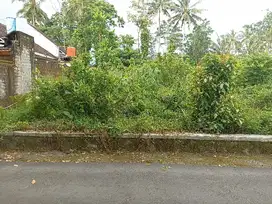 Tanah pekarangan L 365m dekat SPBU Pakem Mangunan  jl. Pakem- Turi